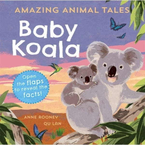 Reception/Primary 1: Amazing Animal Tales: Baby Koala (häftad, eng)