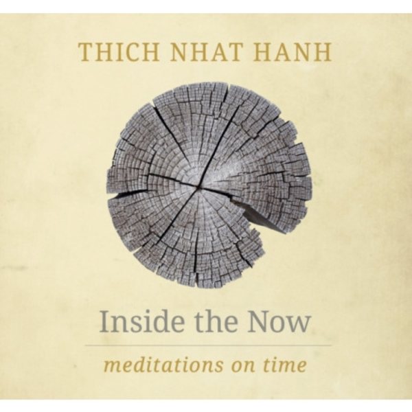 Inside the Now (inbunden, eng)