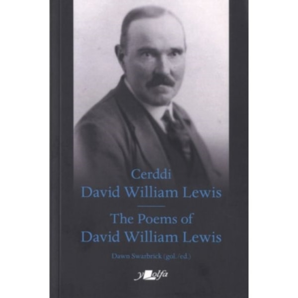 Cerddi David William Lewis the Poems of David William Lewis (häftad, eng)