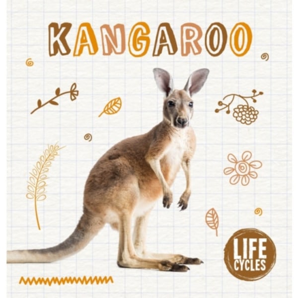 Kangaroo (inbunden, eng)