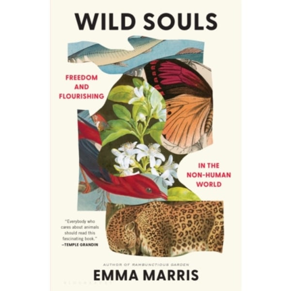 Wild Souls (inbunden, eng)