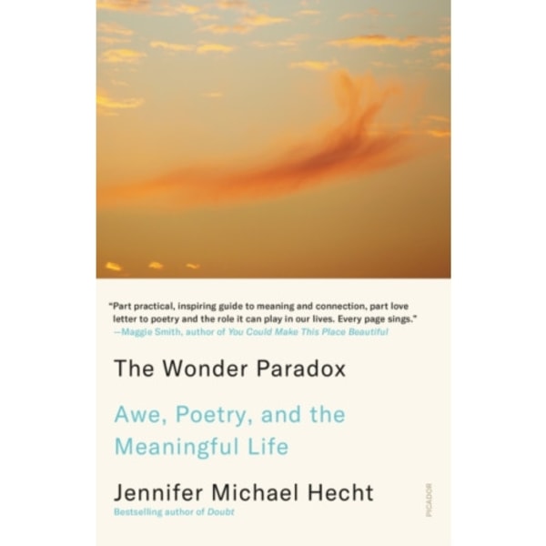 The Wonder Paradox (häftad, eng)