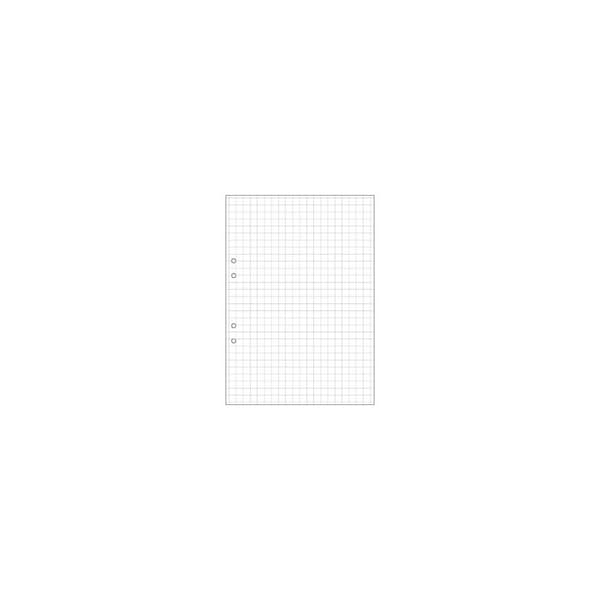 Lösblad A4 rutat 10x10mm hålat 500/fp
