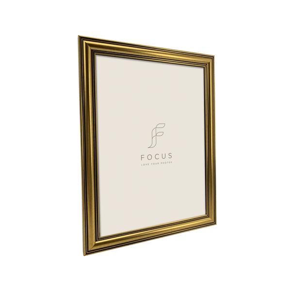 Focus Holly Gold 30x40