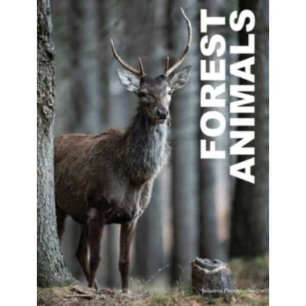 Forest Animals (inbunden, eng)