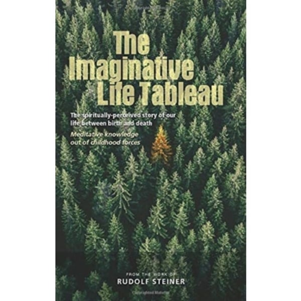 The Imaginative Life Tableau (häftad, eng)