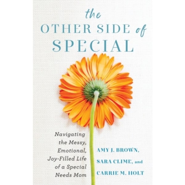 The Other Side of Special – Navigating the Messy, Emotional, Joy–Filled Life of a Special Needs Mom (häftad, eng)