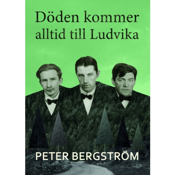 Döden kommer alltid till Ludvika (inbunden)