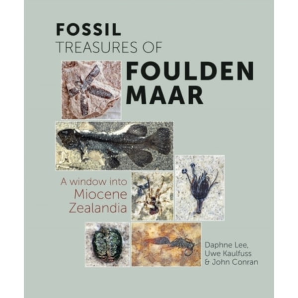 Fossil Treasures of Foulden Maar (häftad, eng)