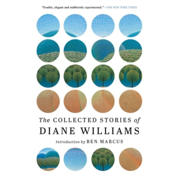 The Collected Stories of Diane Williams (häftad, eng)