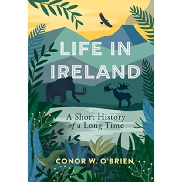 Life in Ireland (häftad, eng)