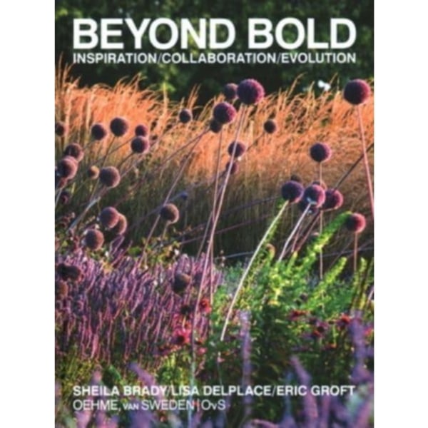 Beyond Bold: Inspiration, Collaboration, Evolution (inbunden, eng)