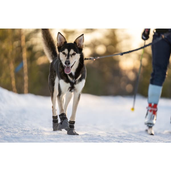 Hundskor High Endurance 4p Grå XL