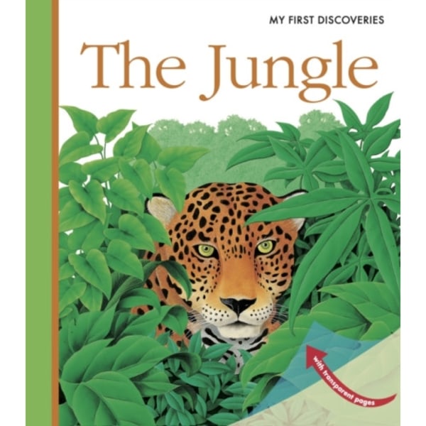 The Jungle (bok, spiral, eng)