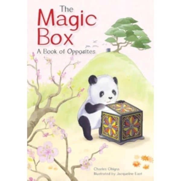 The Magic Box (inbunden, eng)