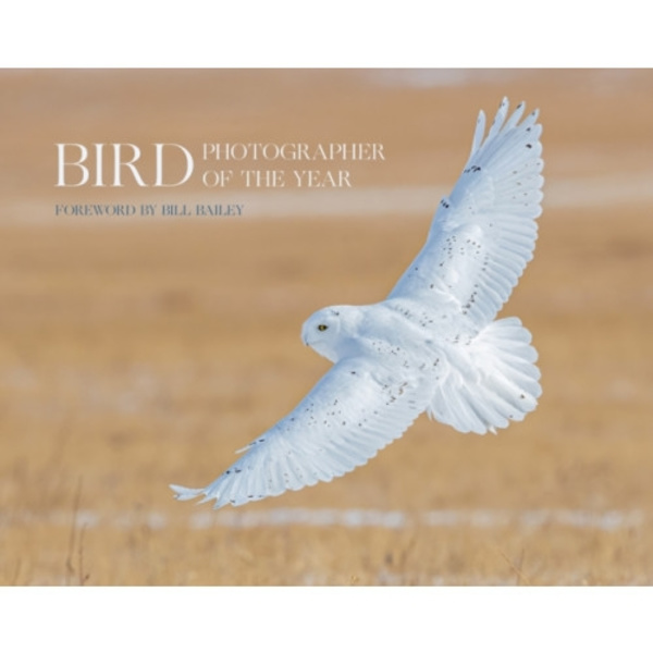 Bird Photographer of the Year (inbunden, eng)