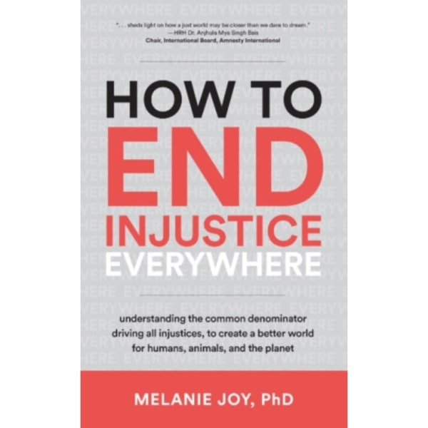 How to End Injustice Everywhere (häftad, eng)