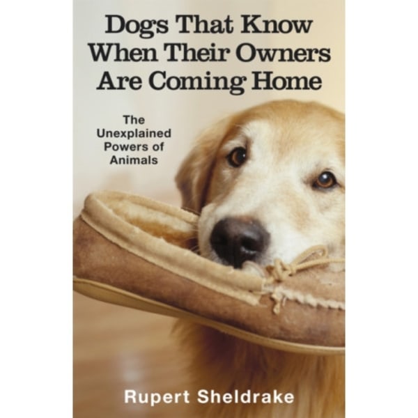 Dogs That Know When Their Owners Are Coming Home (häftad, eng)