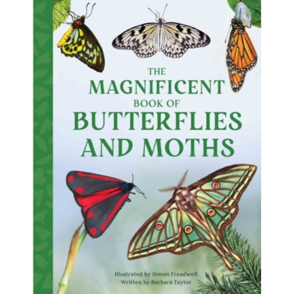 The Magnificent Book of Butterflies and Moths (inbunden, eng)