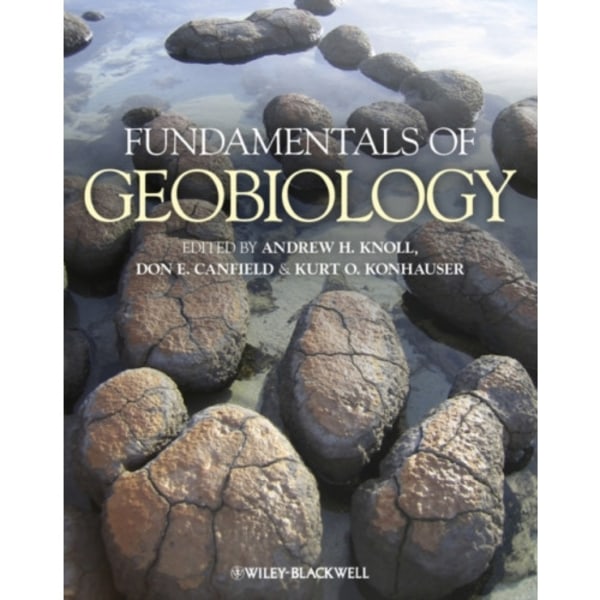 Fundamentals of Geobiology (häftad, eng)