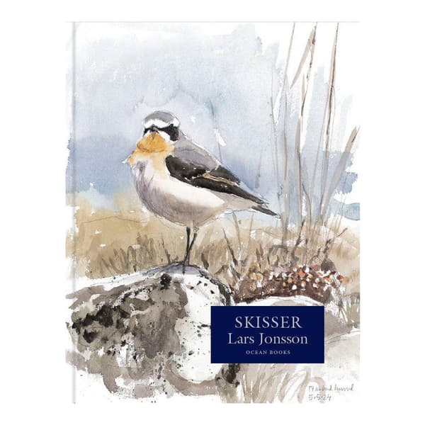 Skisser (inbunden)