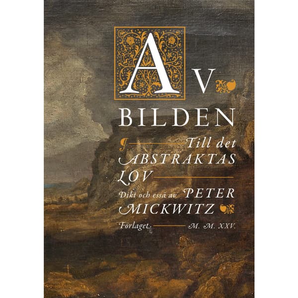 Av bilden (bok, danskt band)
