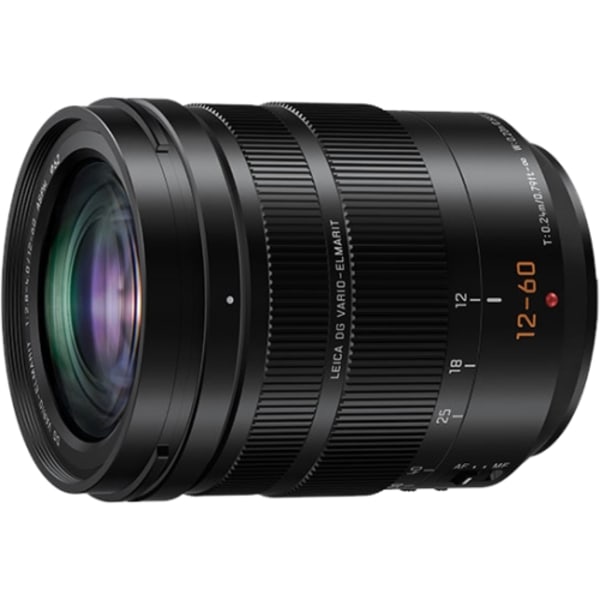 Panasonic 12-60mm f/2.8-4.0 Leica