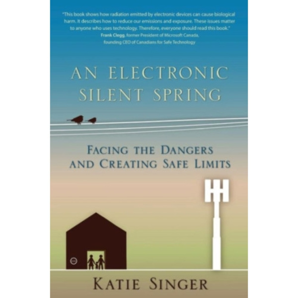 An Electronic Silent Spring (häftad, eng)