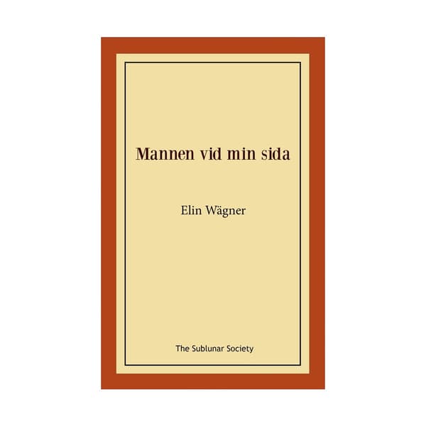 Mannen vid min sida (häftad)