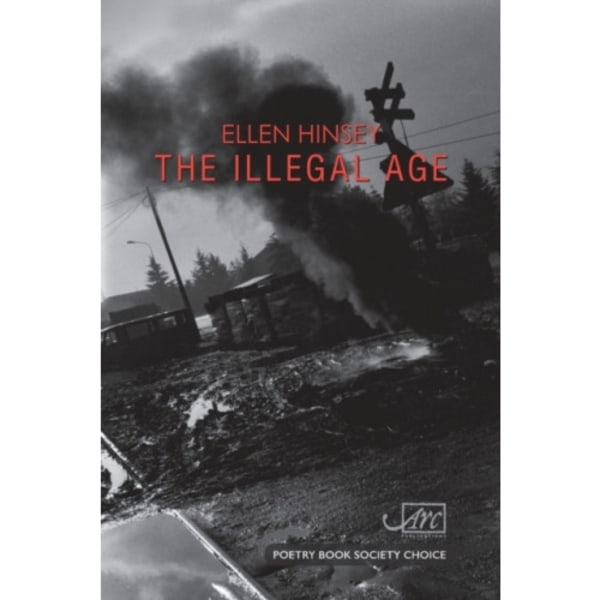 The Illegal Age (häftad, eng)