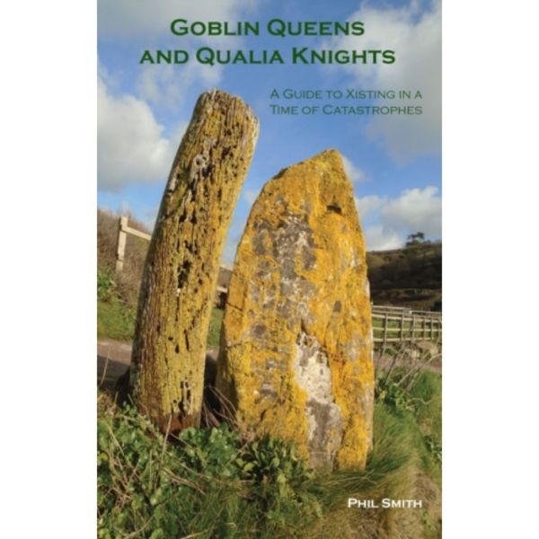 Goblin Queens and Qualia Knights (häftad, eng)