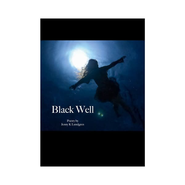 Black Well (häftad, eng)