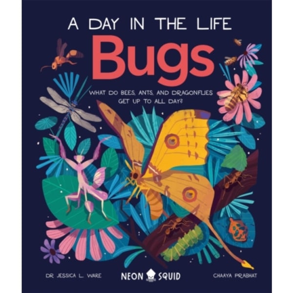 Bugs (A Day in the Life) (inbunden, eng)