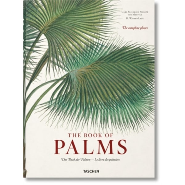 Martius. The Book of Palms (inbunden, eng)