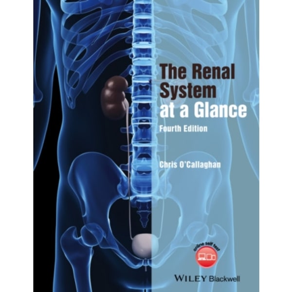 The Renal System at a Glance (häftad, eng)
