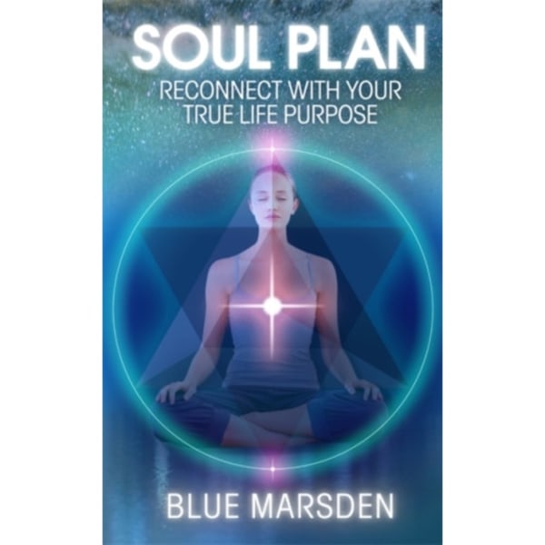 Soul Plan (häftad, eng)