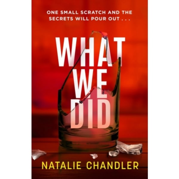 What We Did (häftad, eng)