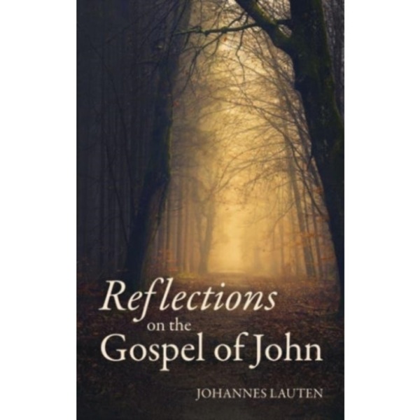 Reflections on the Gospel of John (häftad, eng)