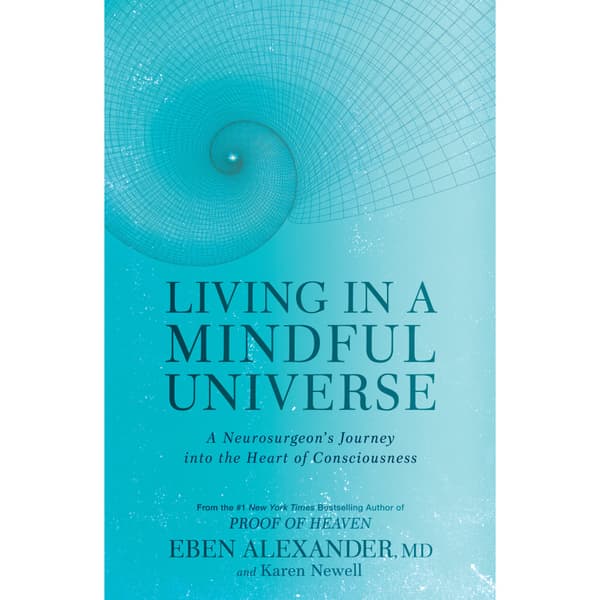 Living in a mindful universe (häftad, eng)