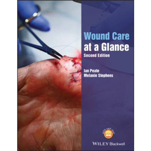 Wound Care at a Glance (häftad, eng)