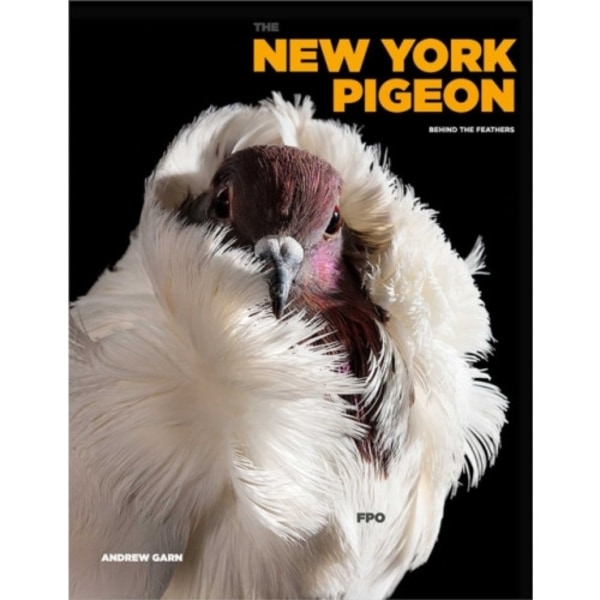 The New York Pigeon (inbunden, eng)