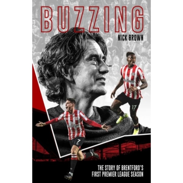 Buzzing (inbunden, eng)