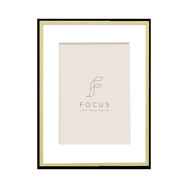 Focus Aster Gold 30x40/PP 20x30