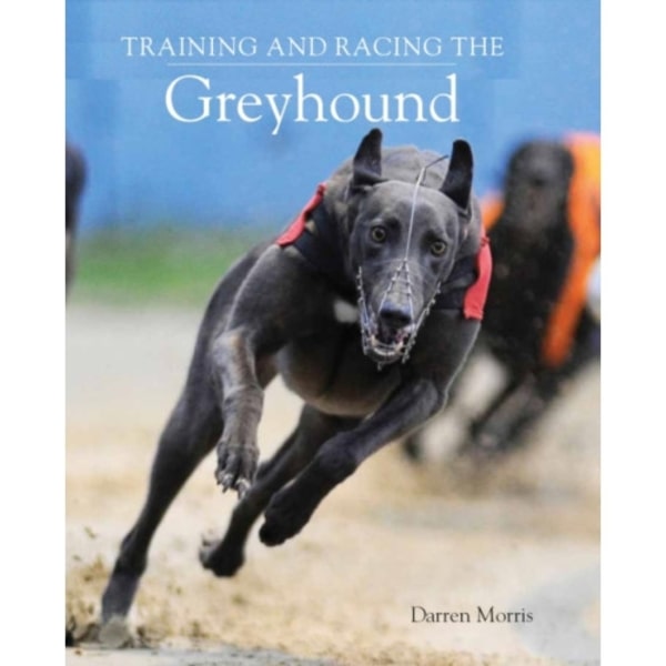 Training and Racing the Greyhound (häftad, eng)