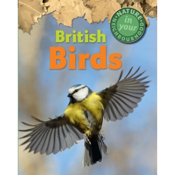 Nature in Your Neighbourhood: British Birds (häftad, eng)