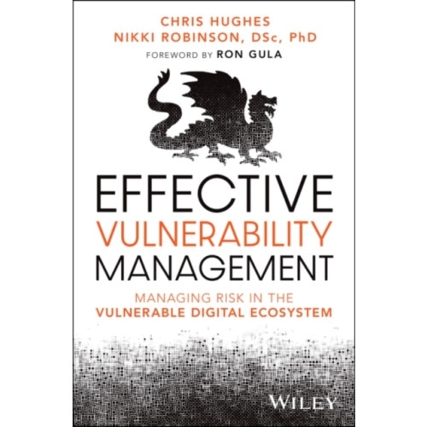 Effective Vulnerability Management (häftad, eng)