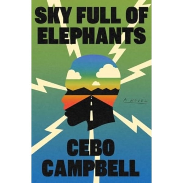 Sky Full of Elephants (inbunden, eng)