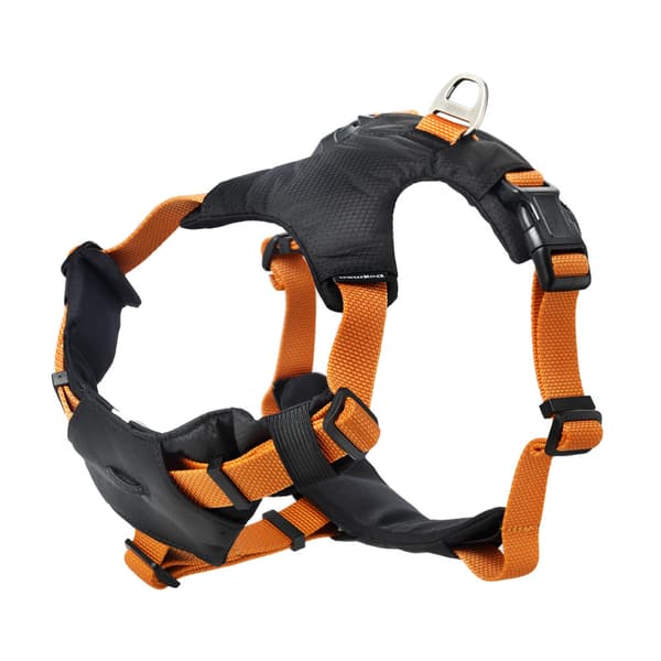 Sportsele Emmi Orange XL
