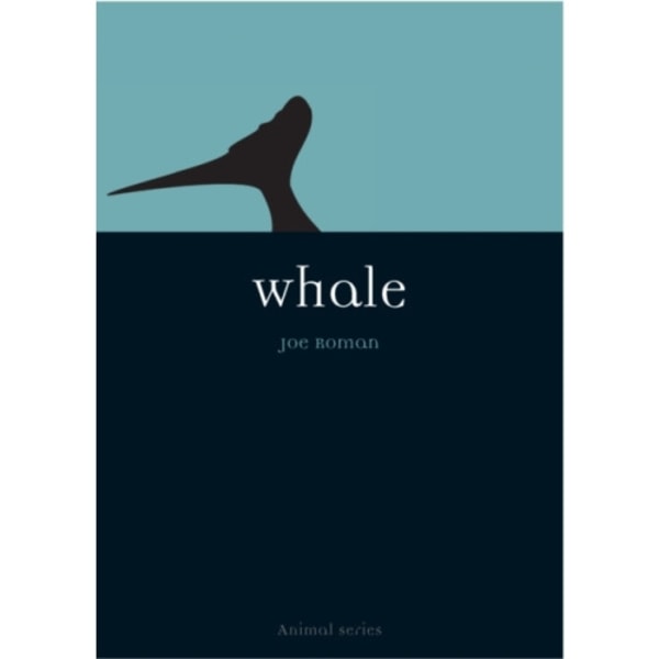 Whale (häftad, eng)