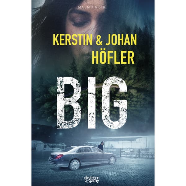 Big (bok, danskt band)